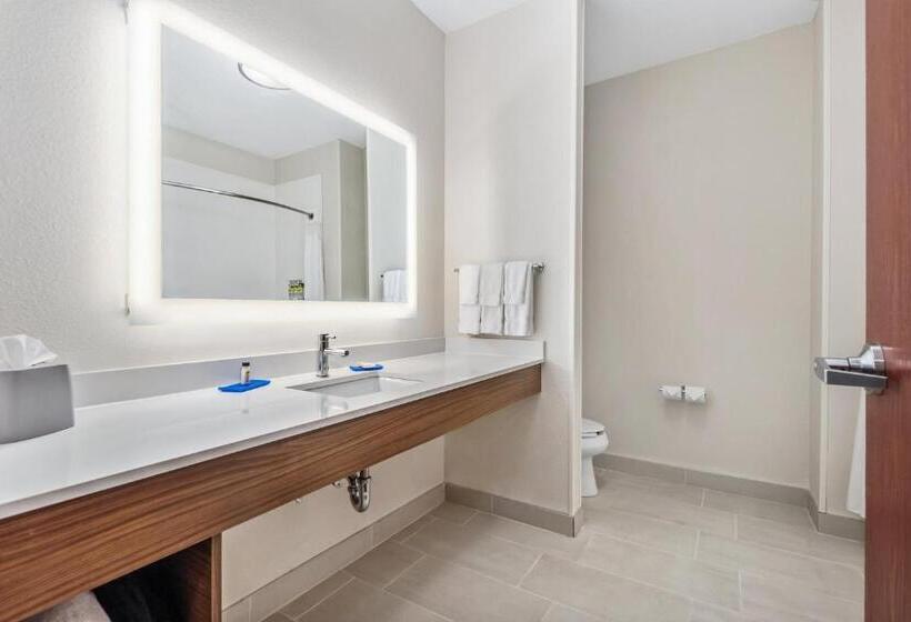 Стандартный Номер Кровать Кинг, Holiday Inn Express Suites Van Buren Ft Smith Area, An Ihg