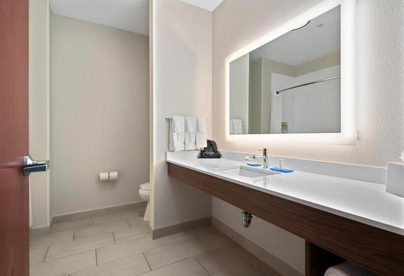Люкс Кровать Кинг, Holiday Inn Express Suites Van Buren Ft Smith Area, An Ihg