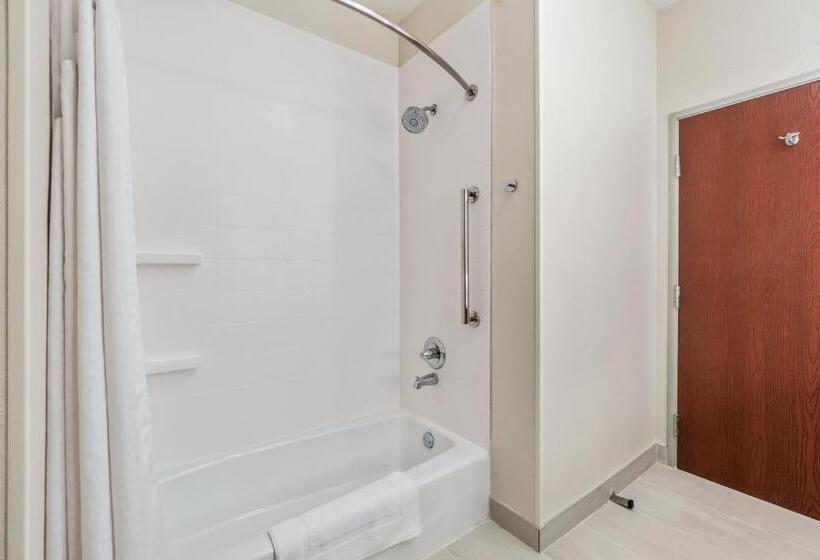 スタンダードルーム, Holiday Inn Express Suites Van Buren Ft Smith Area, An Ihg