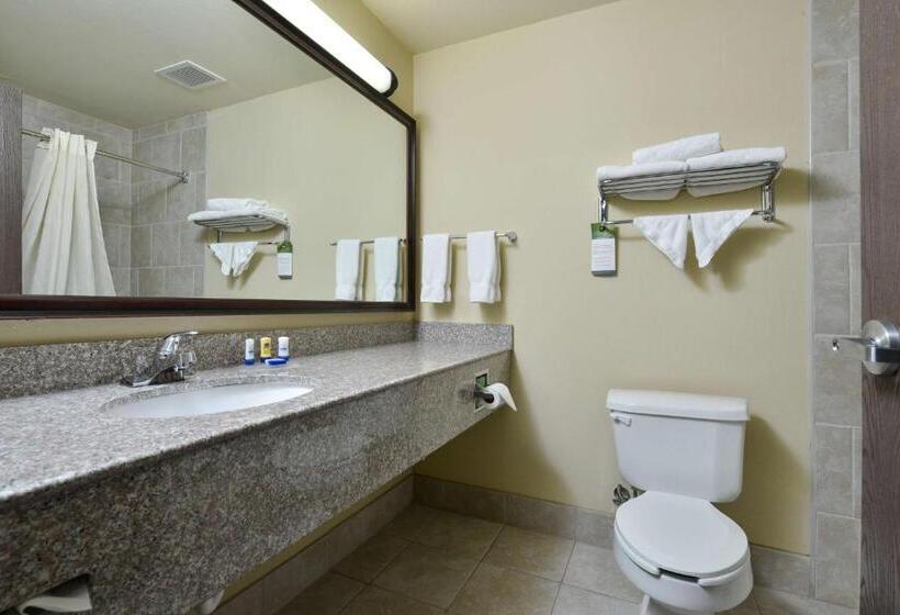 Номер Стандарт, Best Western Plus Burleson Inn & Suites