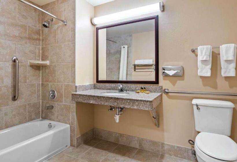 Номер Стандарт Кровать Кинг Адаптированный для Инвалидов, Best Western Plus Burleson Inn & Suites