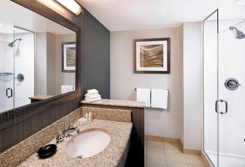 Suite, Courtyard Indianapolis Downtown