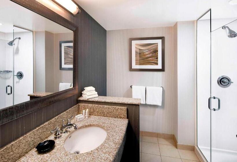 Suite, Courtyard Indianapolis Downtown