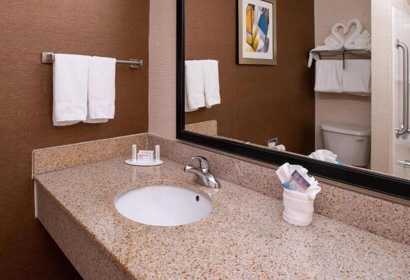Люкс Executive Кровать Кинг, Fairfield Inn & Suites Greensboro Wendover