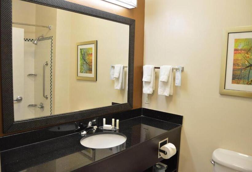 Стандартный Номер Кровать Кинг, Fairfield Inn & Suites Houston Channelview