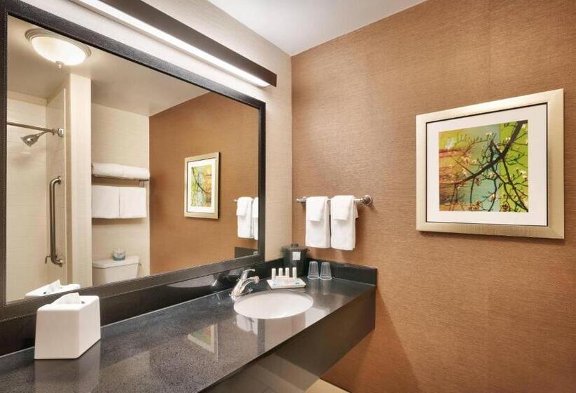 스탠다드 룸 킹사이즈 침대, Fairfield Inn & Suites Idaho Falls