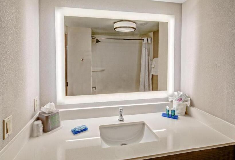 סוויטה מותאמת לאדם עם מוגבלויות, Holiday Inn Express Hotel & Suites Memphis Southwind, An Ihg