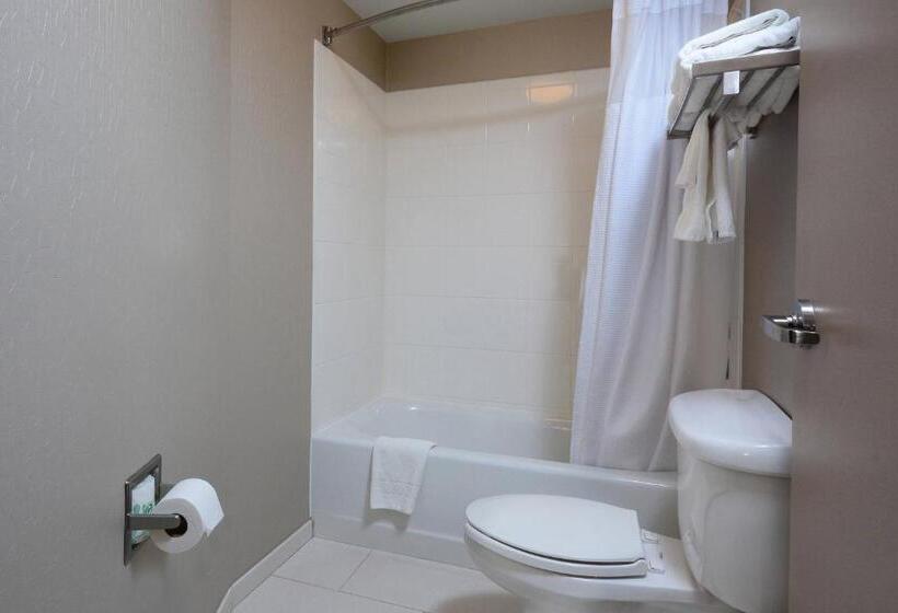 Номер Стандарт, Springhill Suites By Marriott Lynchburg Airport/university Area
