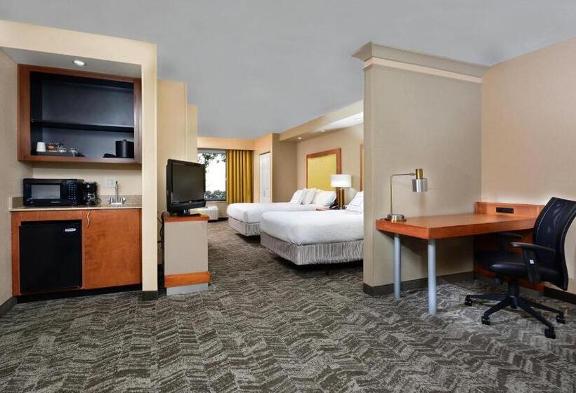 Номер Стандарт, Springhill Suites By Marriott Lynchburg Airport/university Area