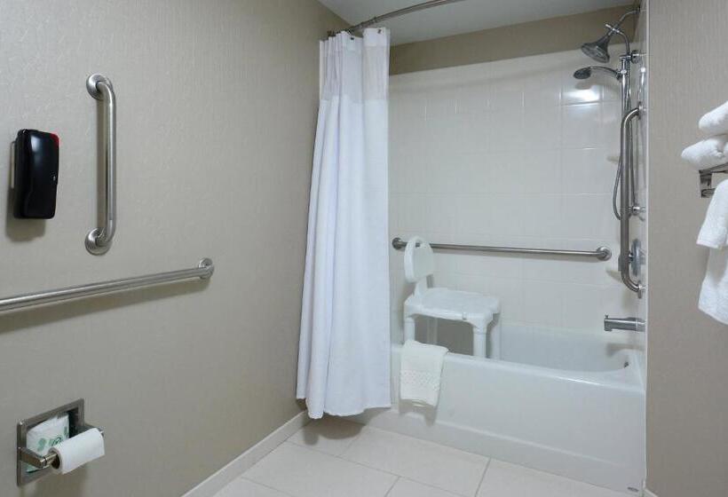 Студио Стандарт Кровать Кинг, Springhill Suites By Marriott Lynchburg Airport/university Area