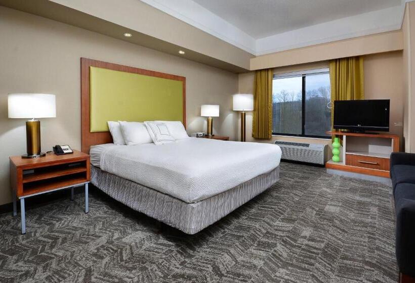 Студио Стандарт Кровать Кинг, Springhill Suites By Marriott Lynchburg Airport/university Area