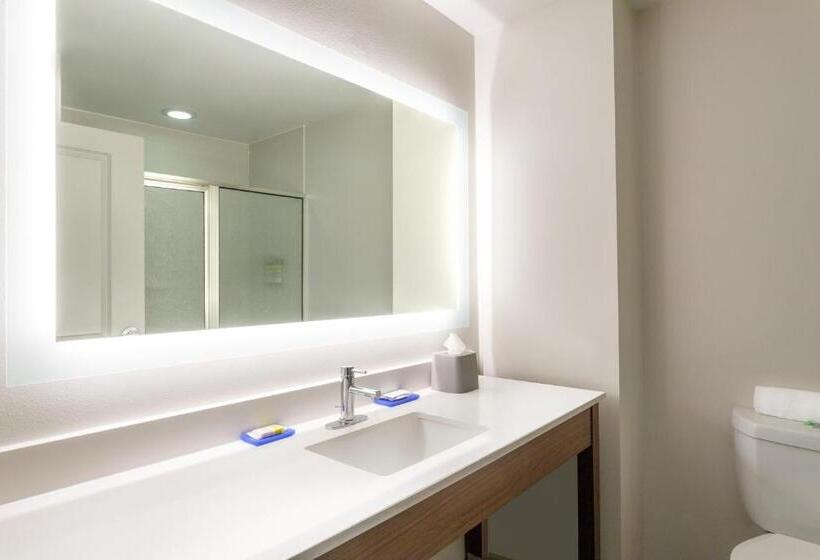 스탠다드 룸 킹사이즈 침대, Holiday Inn Express & Suites Searcy, An Ihg