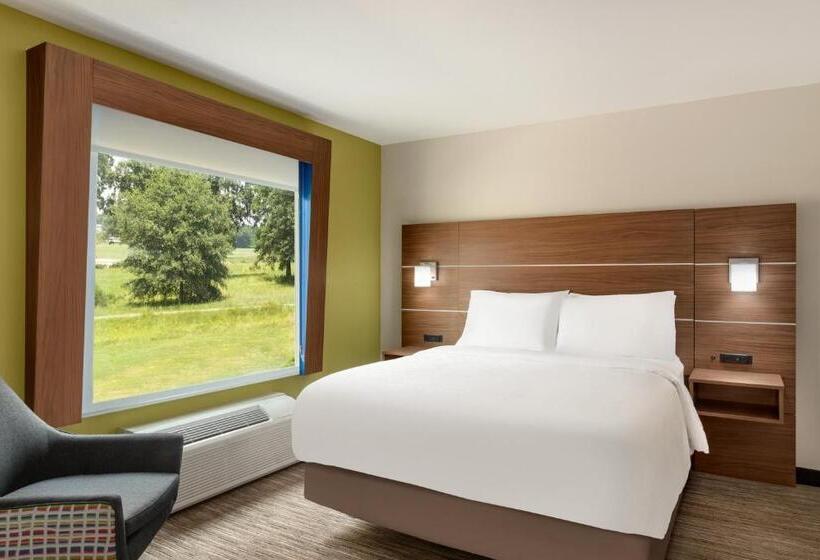 스탠다드 룸 킹사이즈 침대, Holiday Inn Express & Suites Searcy, An Ihg