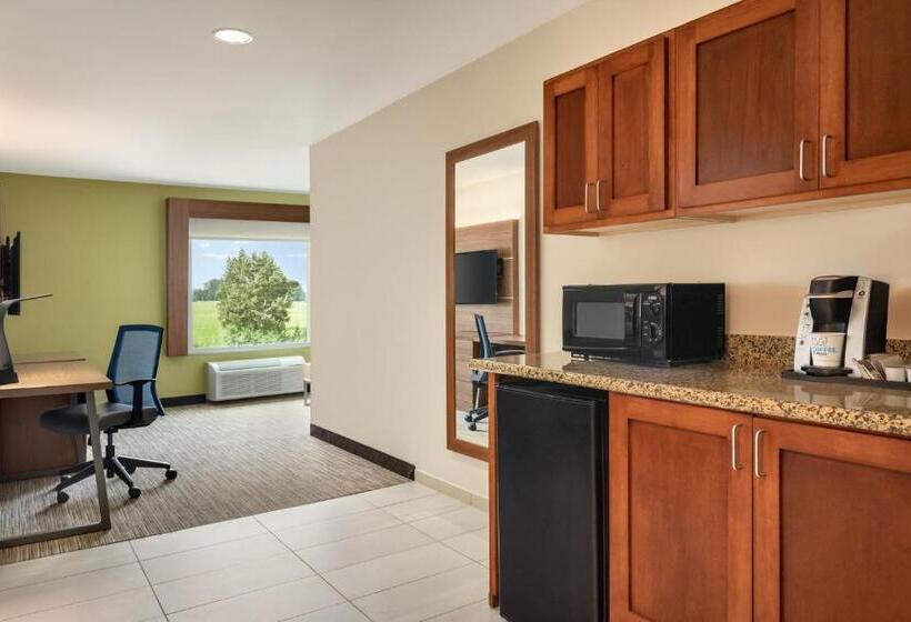 스위트 킹사이즈 침대, Holiday Inn Express & Suites Searcy, An Ihg