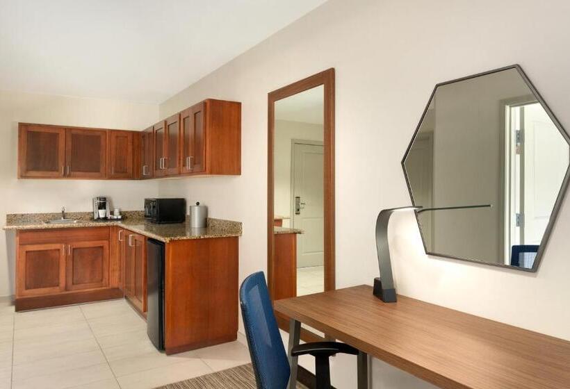 이그제큐티브 스위트 킹침대, Holiday Inn Express & Suites Searcy, An Ihg