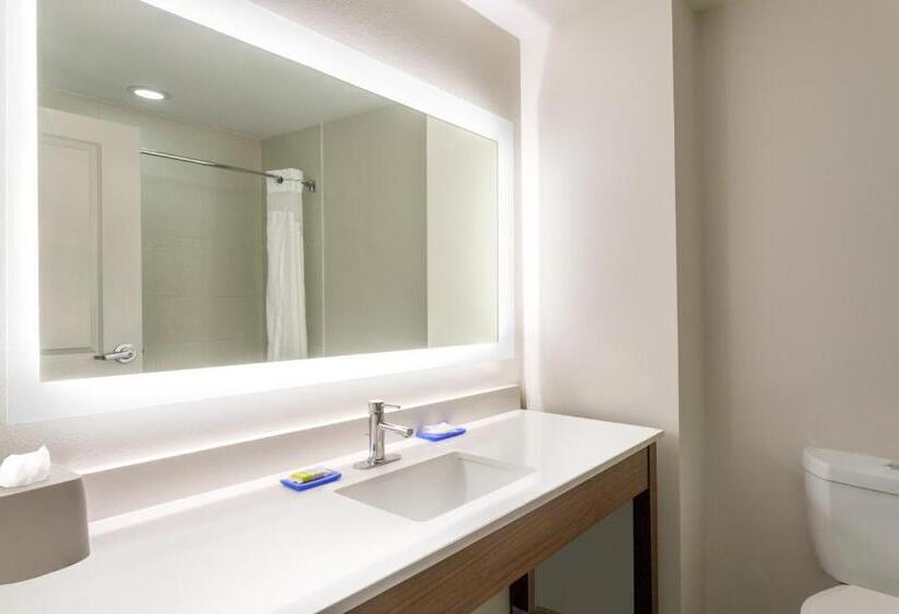 이그제큐티브 스위트 킹침대, Holiday Inn Express & Suites Searcy, An Ihg