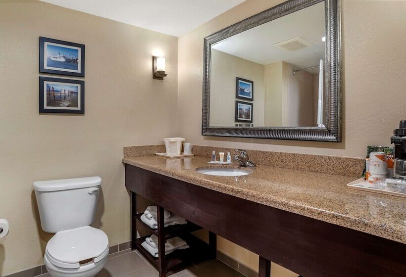 Люкс, Comfort Suites