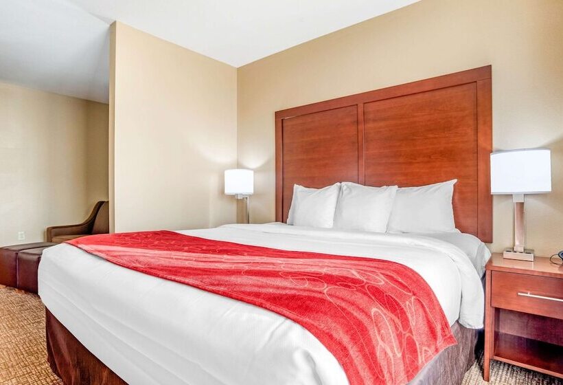 Люкс, Comfort Suites