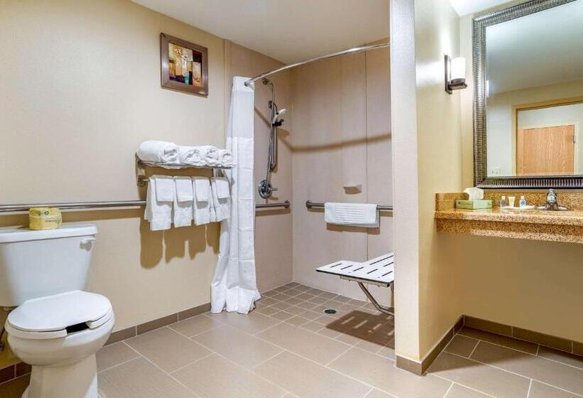 Номер Стандарт Адаптированный для Инвалидов, Comfort Suites
