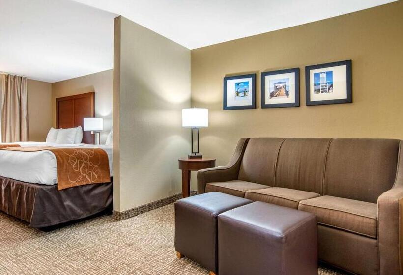 Номер Стандарт Адаптированный для Инвалидов, Comfort Suites