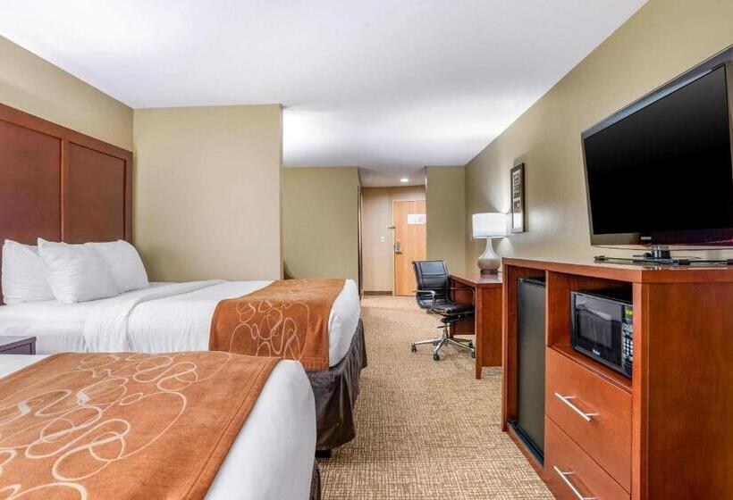 Люкс, Comfort Suites