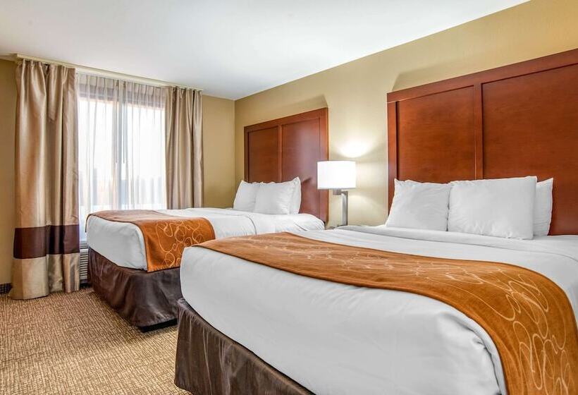 Люкс Адаптированный для Инвалидов, Comfort Suites