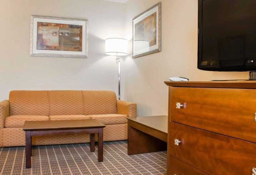 스위트, Comfort Suites Huntsville Midcity District At Research Park
