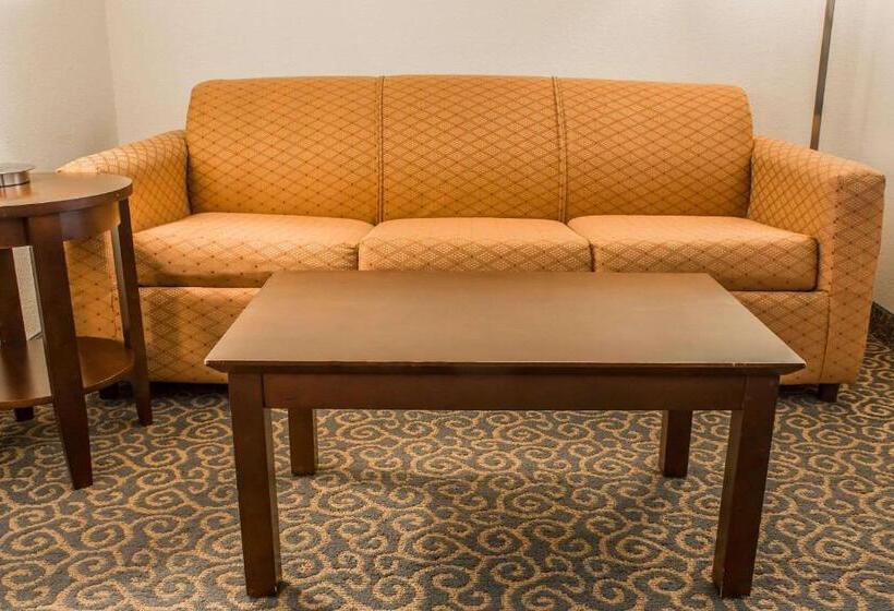 장애인을 위한 스위트, Comfort Suites Huntsville Midcity District At Research Park