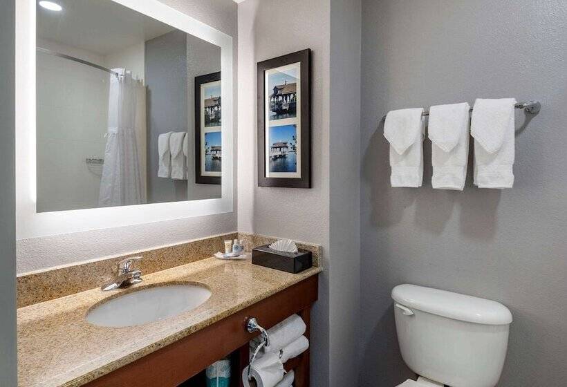 Люкс Адаптированный для Инвалидов, Comfort Suites Near Birkdale Villagehuntersville