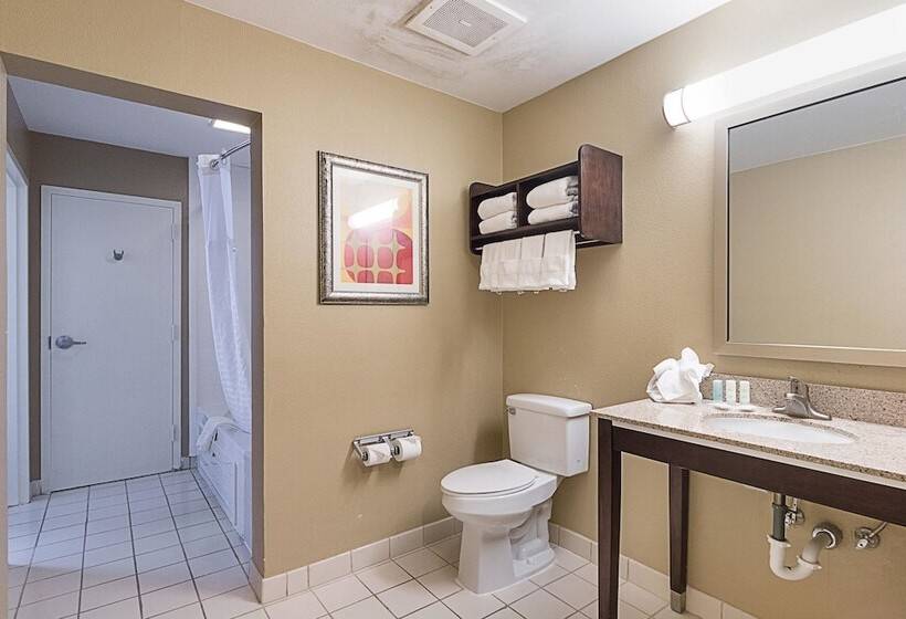 スイート, Comfort Suites Beachside