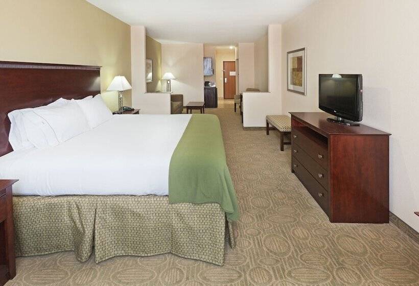 스탠다드 룸, Holiday Inn Express Hotel & Suites Brownfield By Ihg