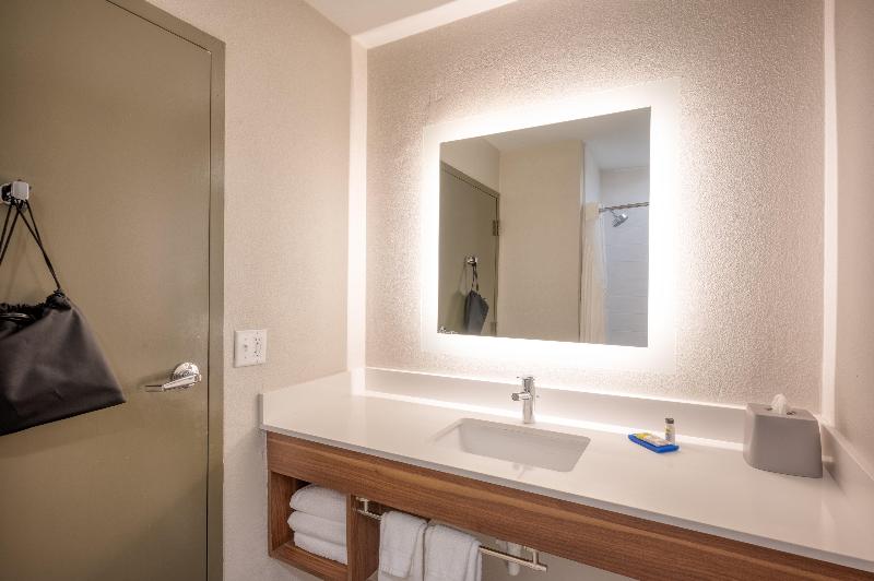 Люкс Кровать Кинг, Holiday Inn Express Hotel & Suites Greenville, An Ihg