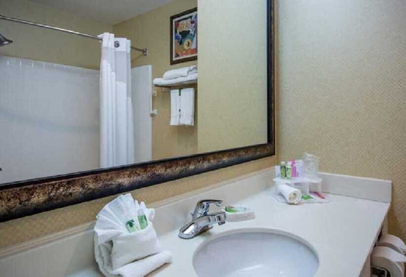 Люкс, Holiday Inn Express Hotel & Suites Youngstown North Warren/niles, An Ihg
