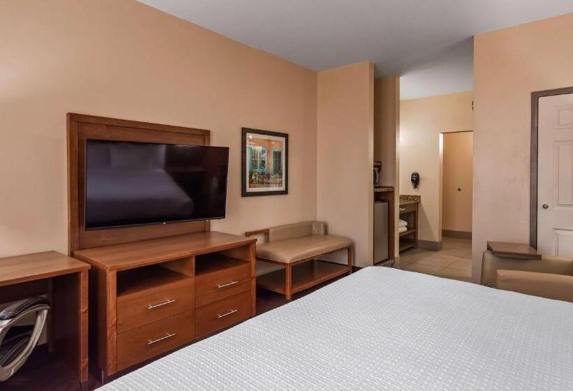 Люкс Адаптированный для Инвалидов, Best Western Cannon A.f.b