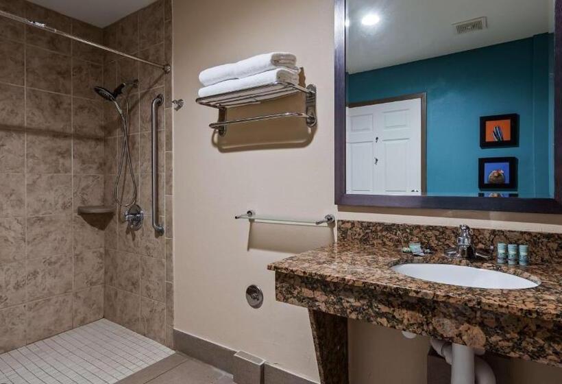 Люкс Адаптированный для Инвалидов, Best Western Cannon A.f.b
