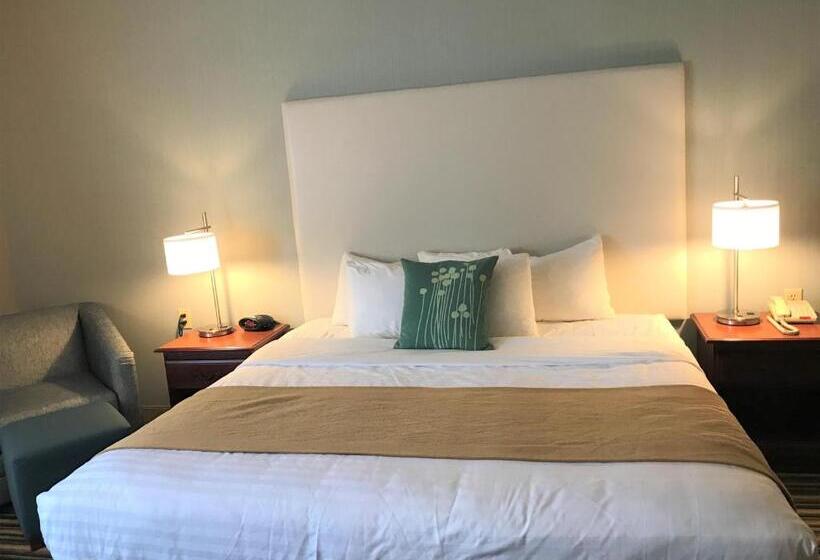 스탠다드 룸 킹사이즈 침대, Best Western Plus New England Inn & Suites