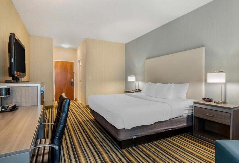 스탠다드 룸 킹사이즈 침대, Best Western Plus New England Inn & Suites