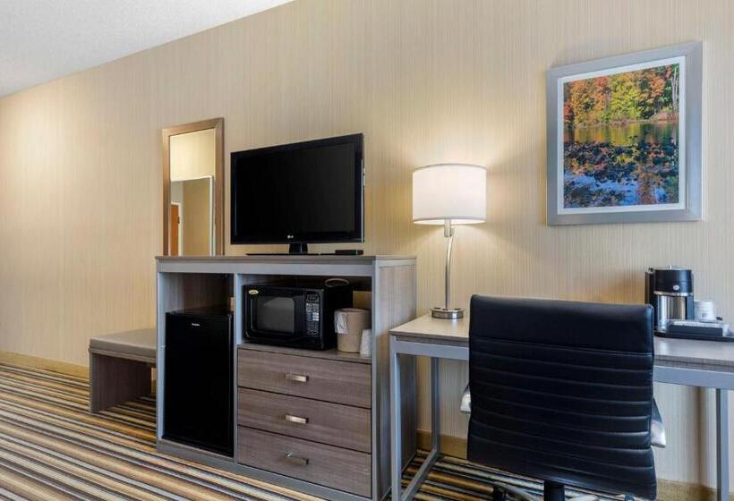 스탠다드 룸 킹사이즈 침대, Best Western Plus New England Inn & Suites