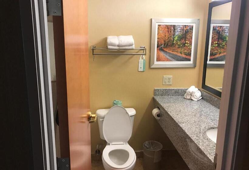 스탠다드 룸, Best Western Plus New England Inn & Suites