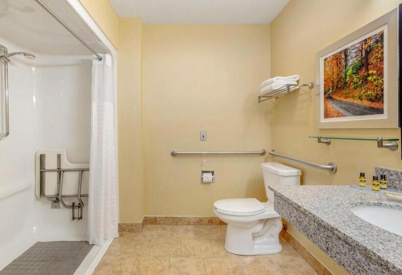 장애인을 위한 킹사이즈 침대 스탠다드 룸, Best Western Plus New England Inn & Suites