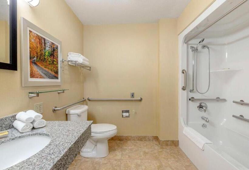 장애인을 위한 킹사이즈 침대 스탠다드 룸, Best Western Plus New England Inn & Suites