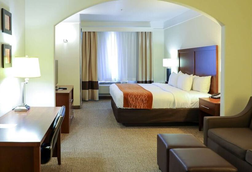 Люкс Адаптированный для Инвалидов, Comfort Inn & Suites, Odessa I 20
