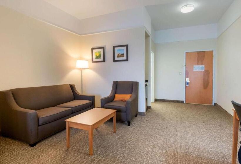 Люкс Адаптированный для Инвалидов, Comfort Inn & Suites, Odessa I 20