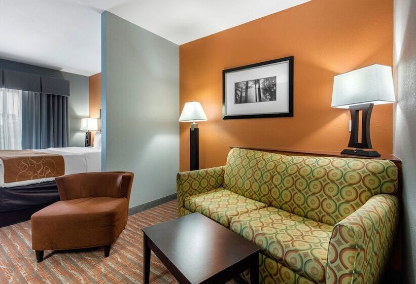 套房, Comfort Suites Jackson I 40