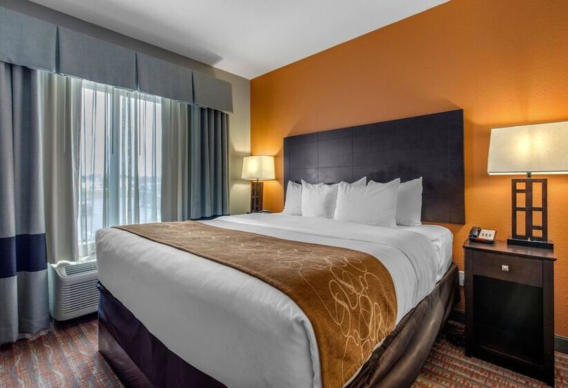 套房, Comfort Suites Jackson I 40