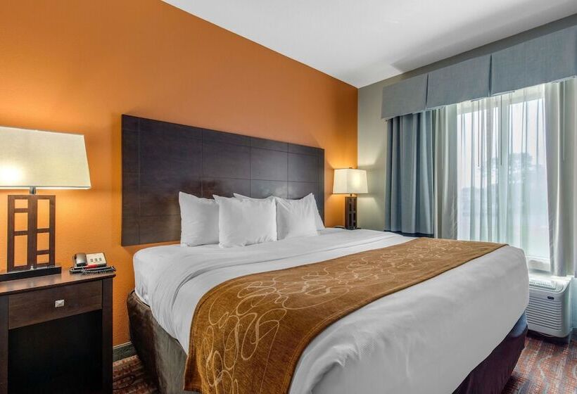 适合残疾人士使用的套间, Comfort Suites Jackson I 40