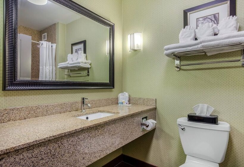 适合残疾人士使用的套间, Comfort Suites Jackson I 40