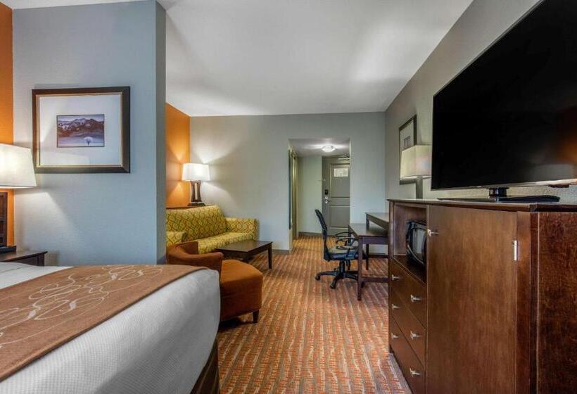 带大床的套房, Comfort Suites Jackson I 40