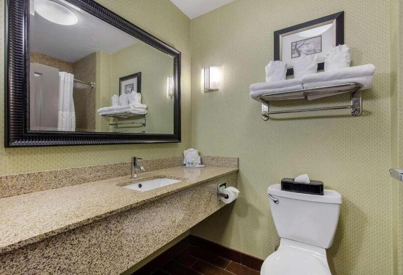 适合残疾人士使用的套间, Comfort Suites Jackson I 40