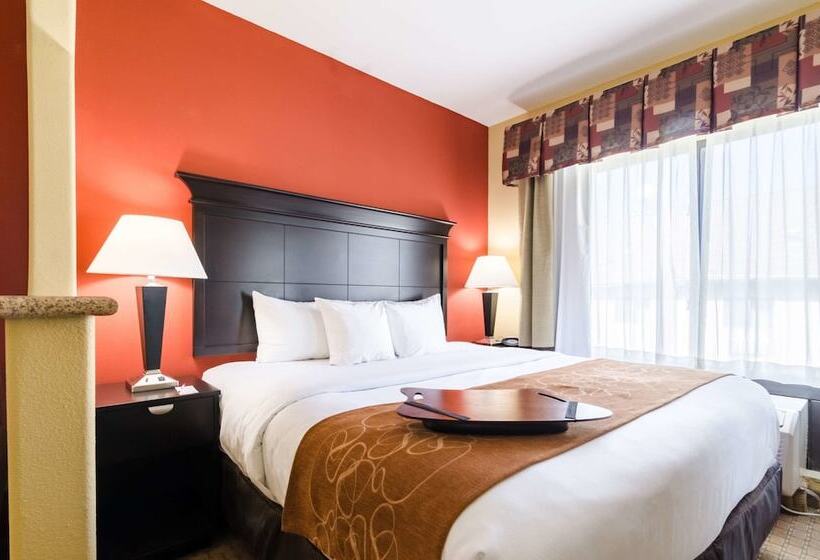 Люкс, Comfort Suites Salina South